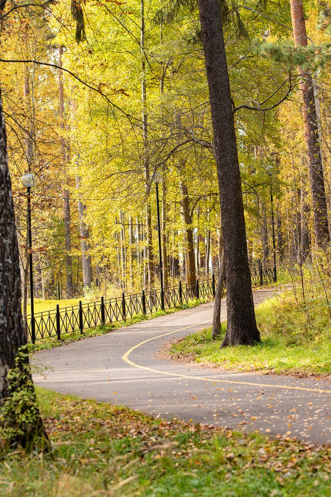 Photograph by Ксения Шилина