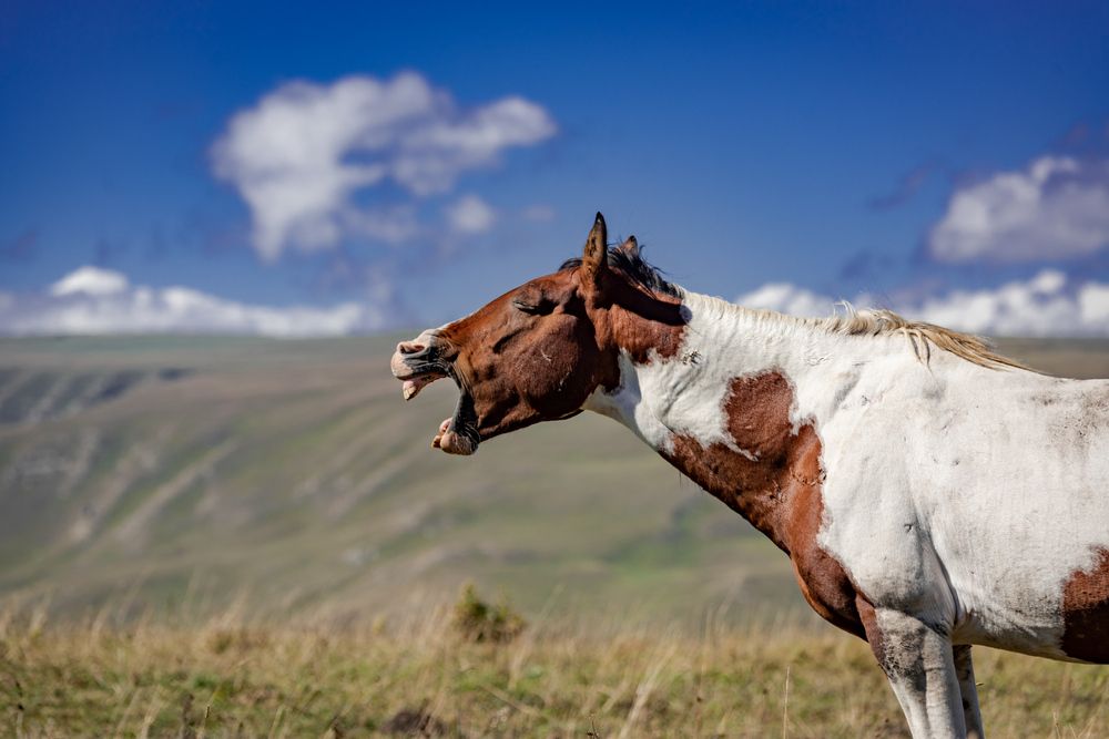 Photograph by Катя Катюнина