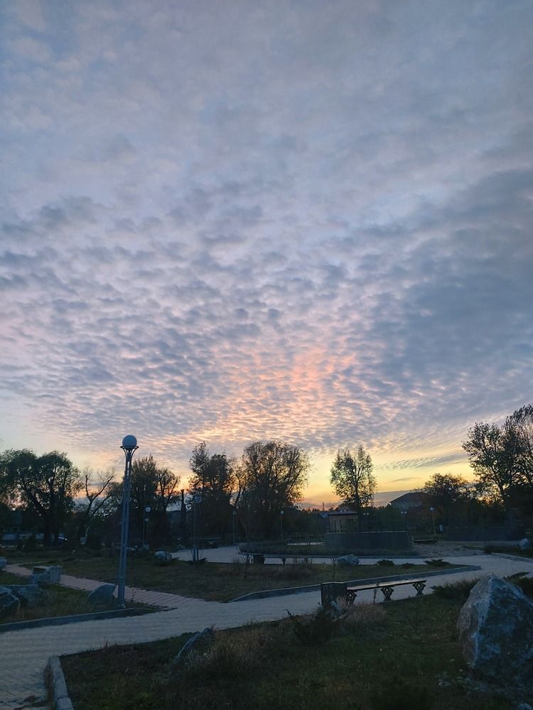 Photo #13073487