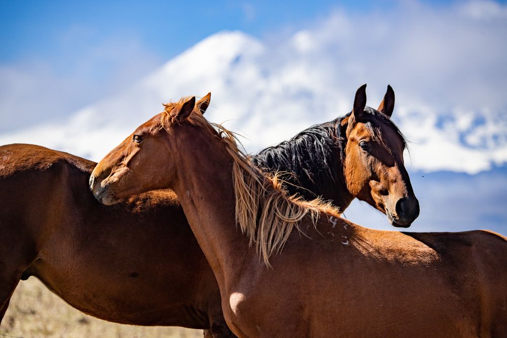 Photograph by Катя Катюнина