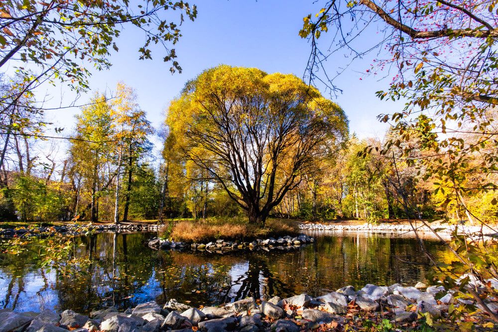 Photograph by Максим Фролов