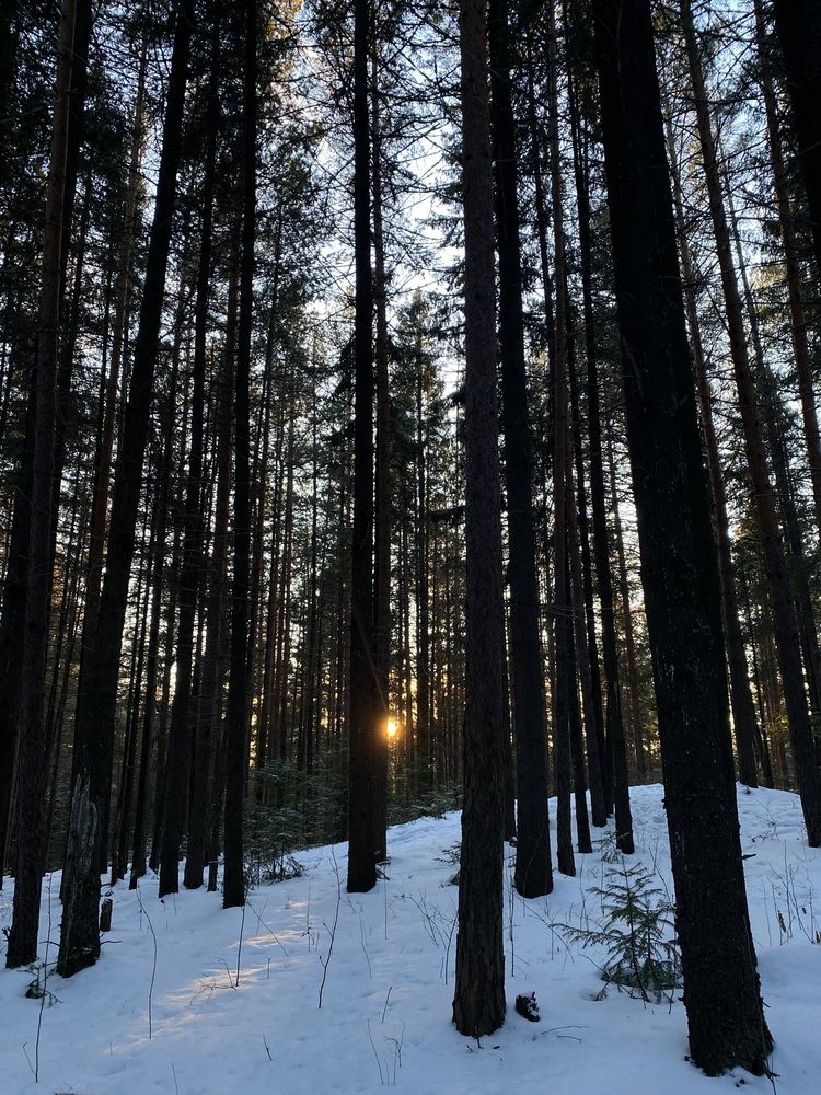Photograph by Олеся Чистова