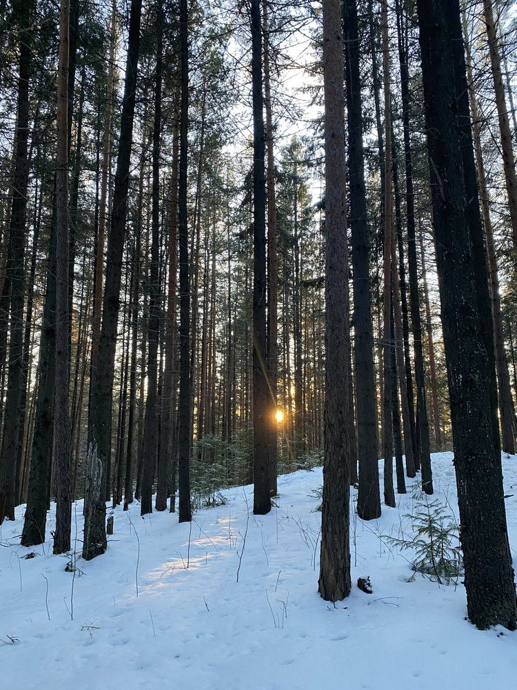 Photograph by Олеся Чистова