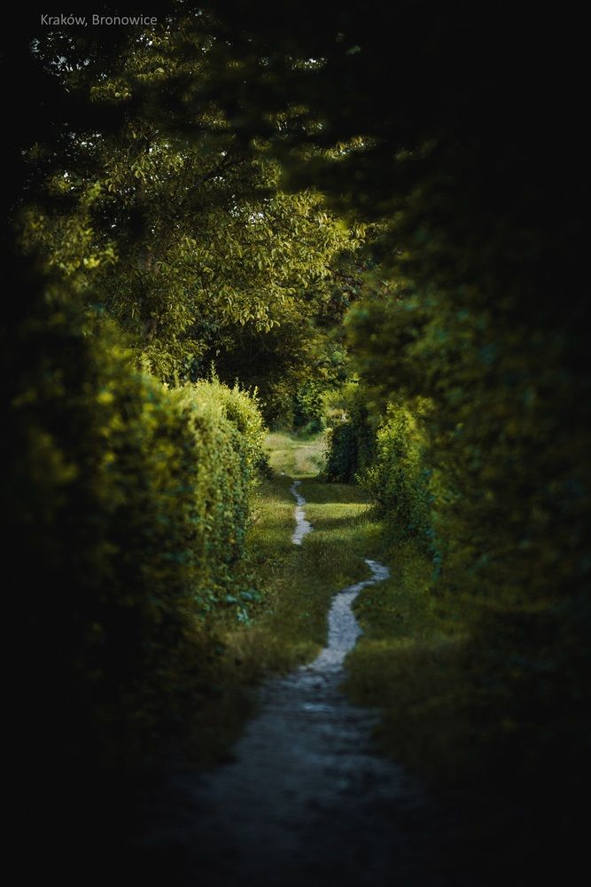 Photograph by Hanna Grochowicka