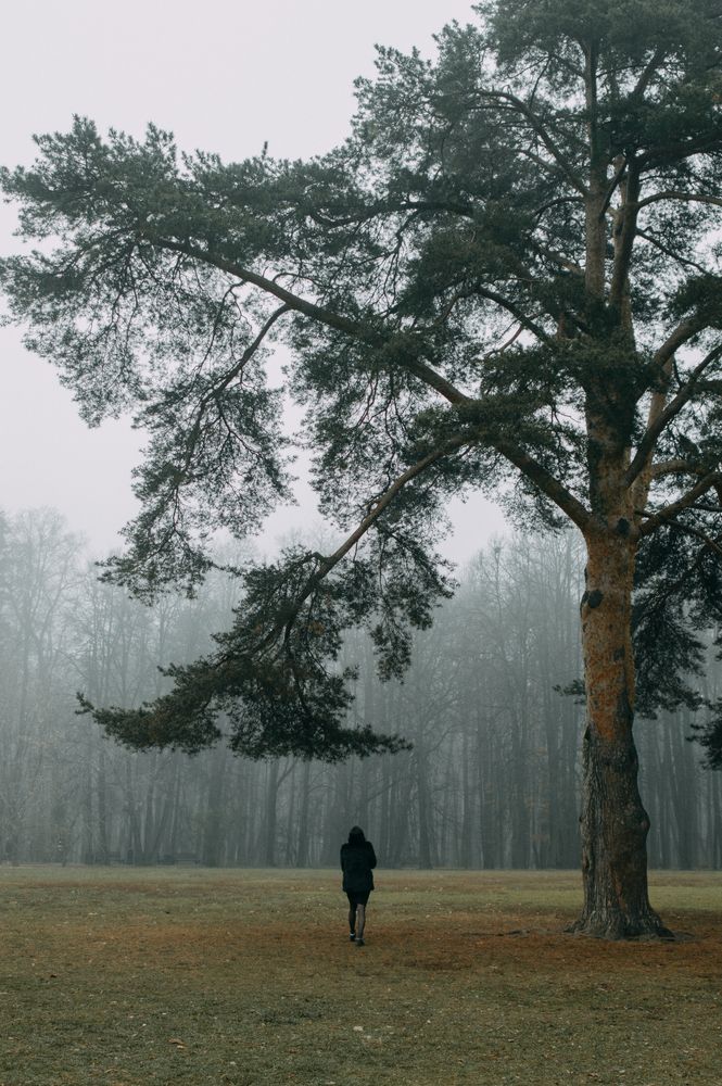 Photograph by Наталья Тарасенкова