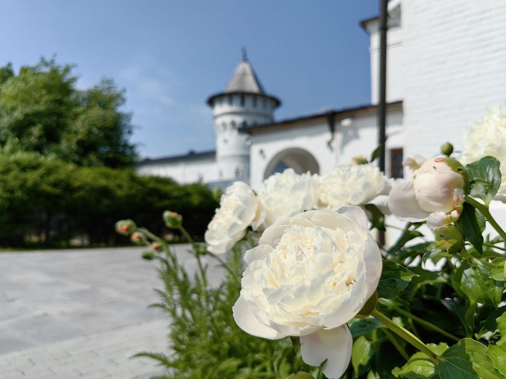 Photograph by Александр Дмитриев