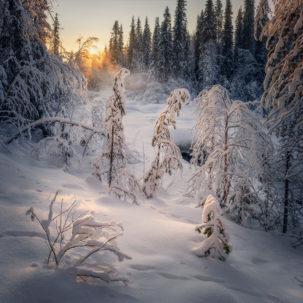 Фотография автора Сергей Буторин