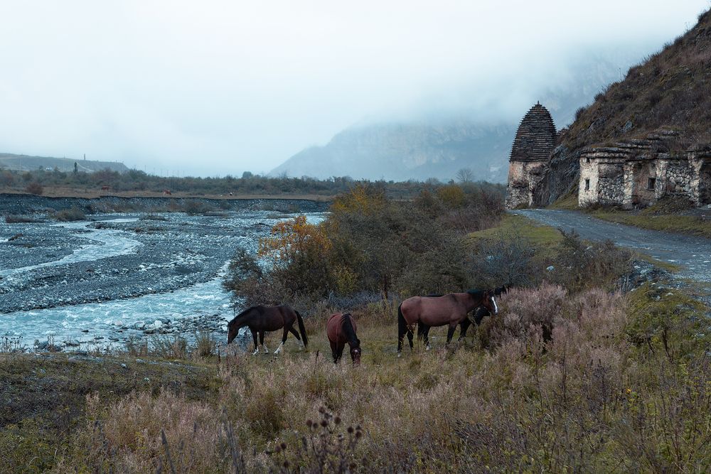 Фотография автора Наталья Дороднова