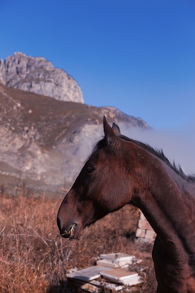 Фотография автора Наталья Дороднова
