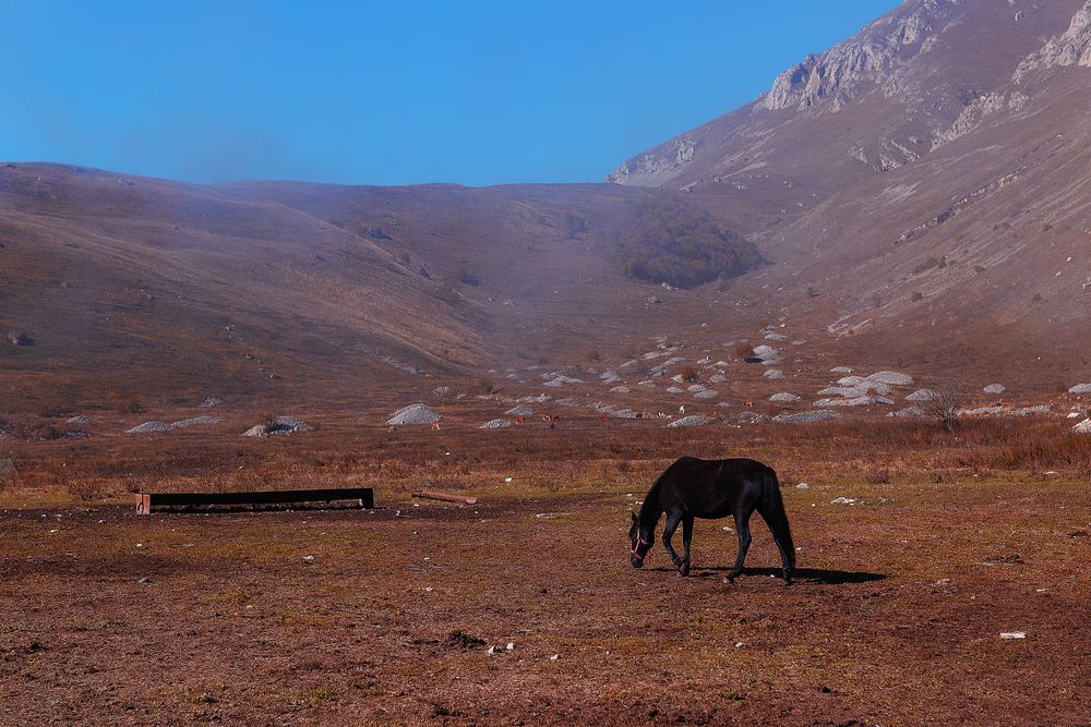 Фотография автора Наталья Дороднова