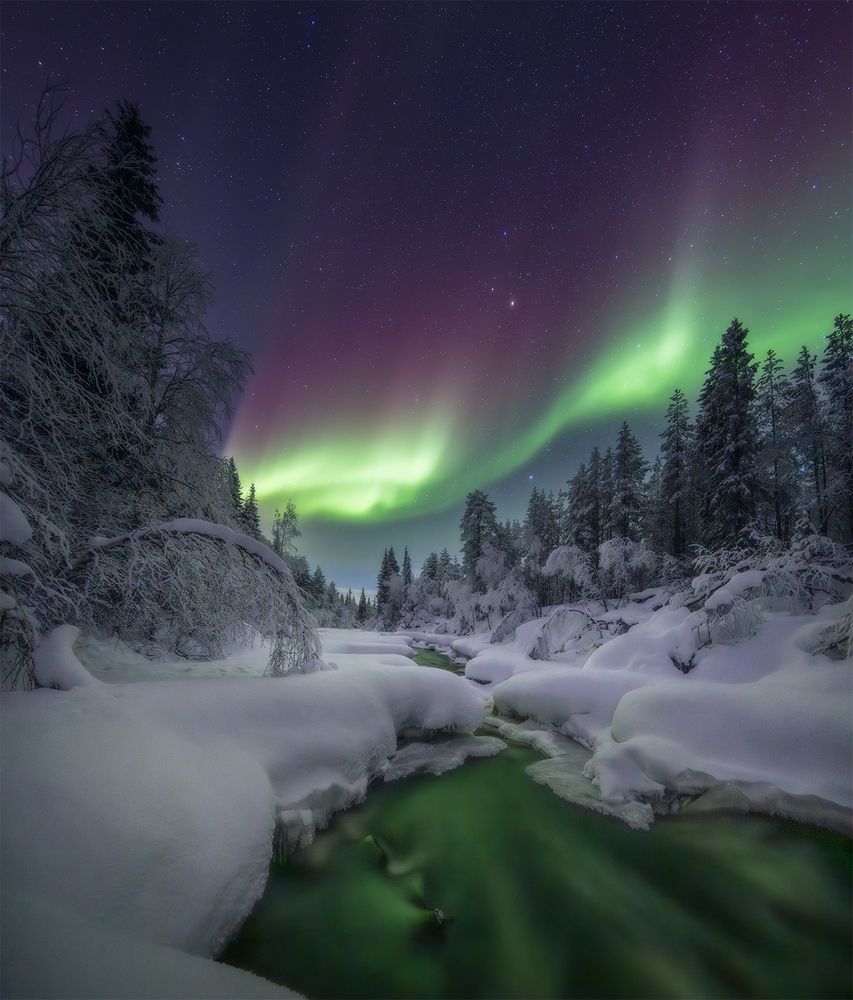 Фотография автора Сергей Буторин