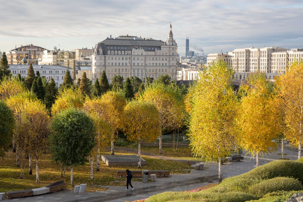 Фотография автора Алексей Корнеев