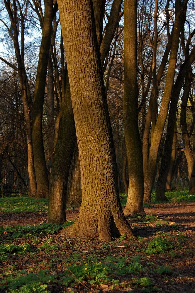 Photograph by Майя Синичкина