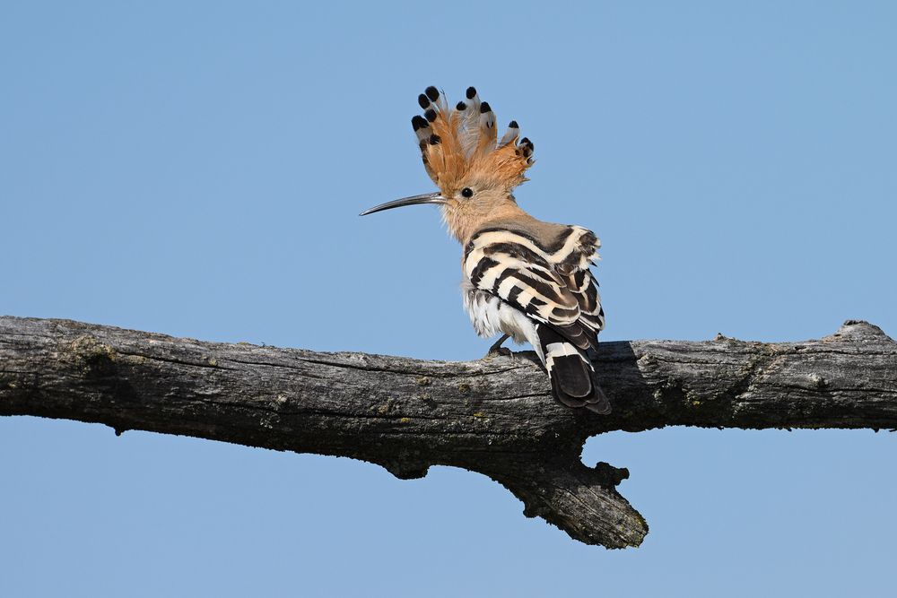 Photograph by Анатолий Садовский
