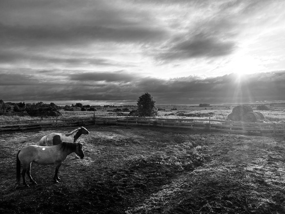 Photograph by Ляйсан Мубаракова