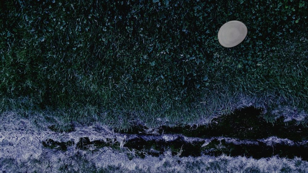 на острове 2