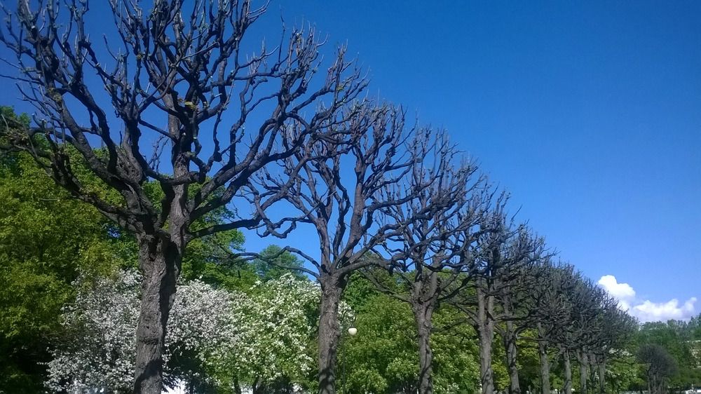 Photograph by Наталья Филянина