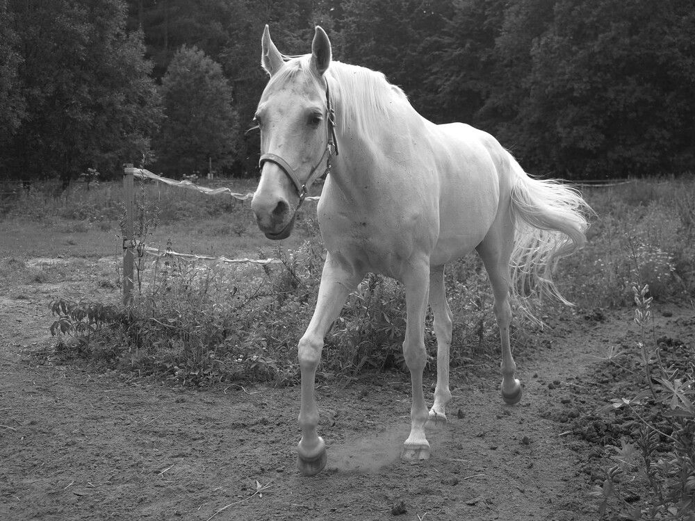 Photograph by Абдурахманов Магомед