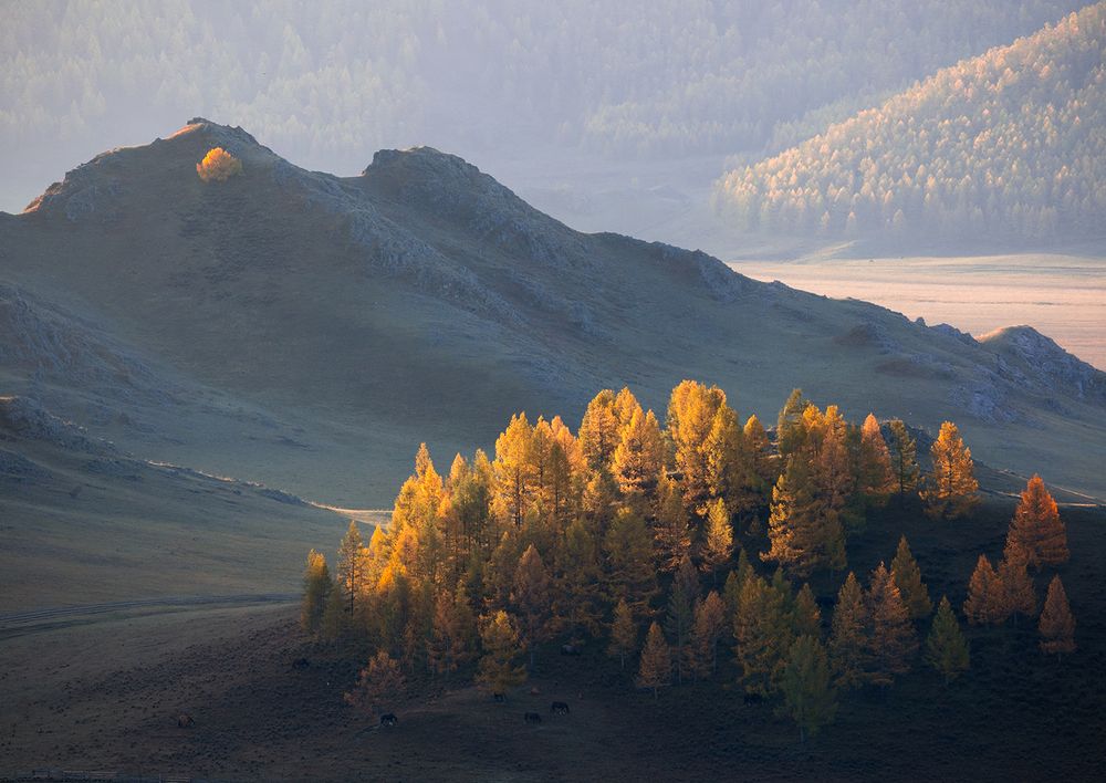 Фотография автора Сергей Буторин