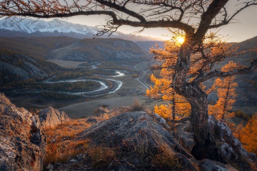 Фотография автора Сергей Буторин