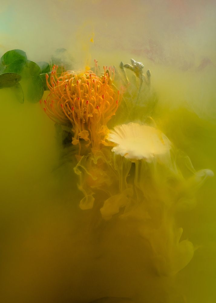 Photograph by Тина Бережная