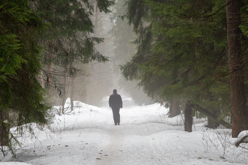 Фотография автора Бычков Валерий