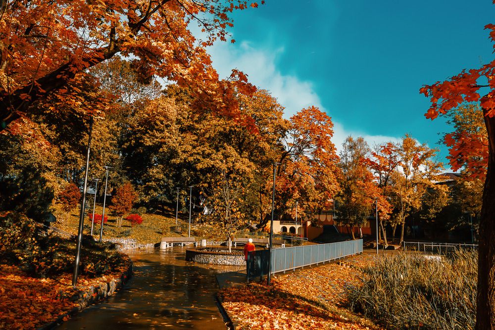 Photograph by Дмитрий Бровко