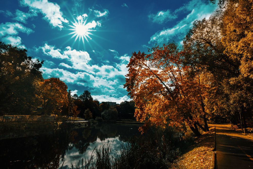 Photograph by Дмитрий Бровко