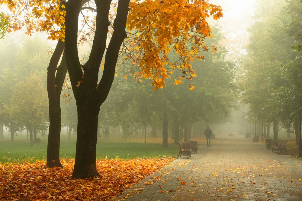 Фотография автора Вячеслав Коробов