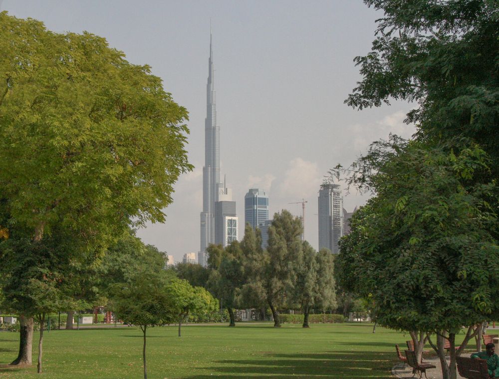 Фотография автора Антон Фролов