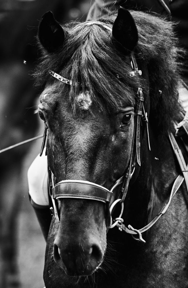 Photograph by Alexey Zakusov