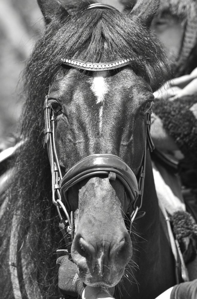 Photograph by Alexey Zakusov