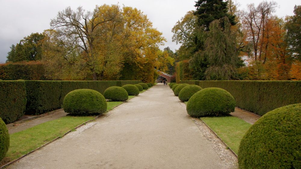 Фотография автора Антон Фролов