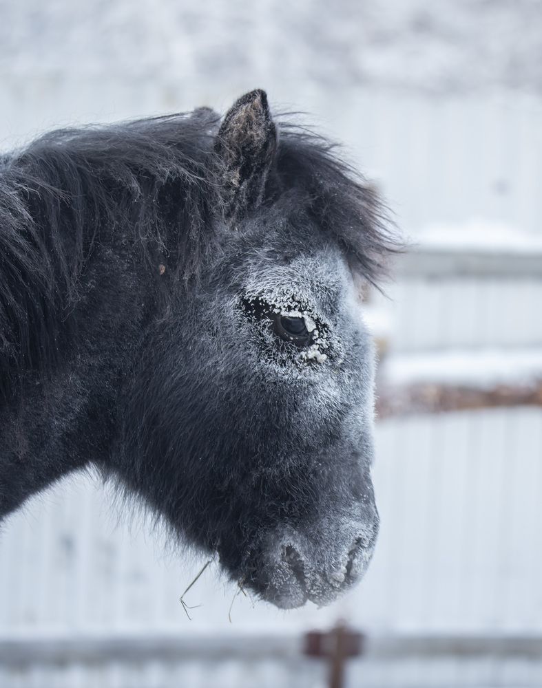 Photograph by Попов Альберт