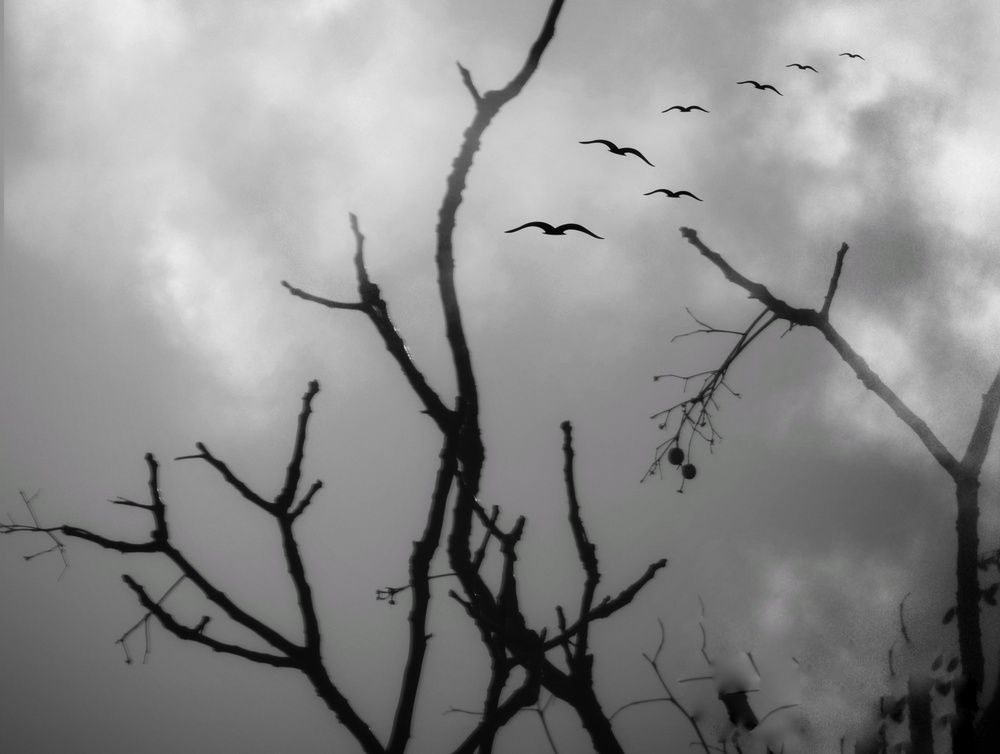 Photograph by Марина