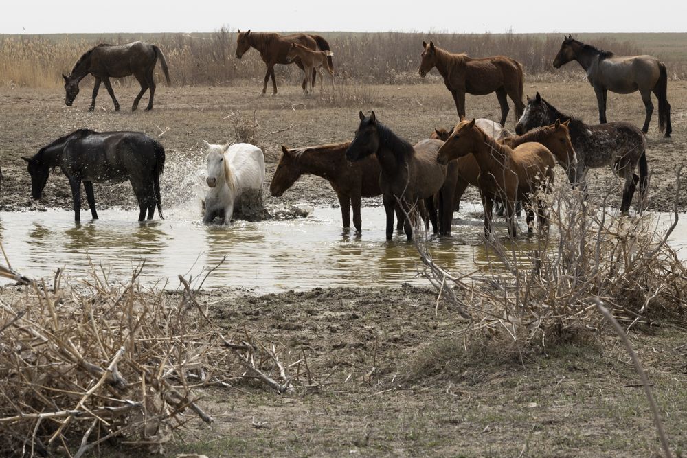 Photograph by Юлия Панова