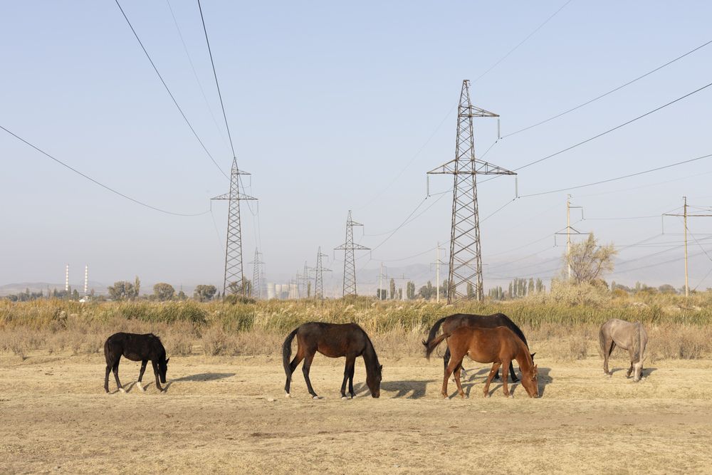 Photograph by Юлия Панова