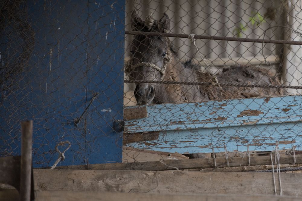 Photograph by Юлия Панова