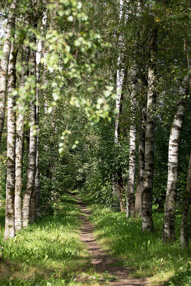 Фотография автора Игорь Кот