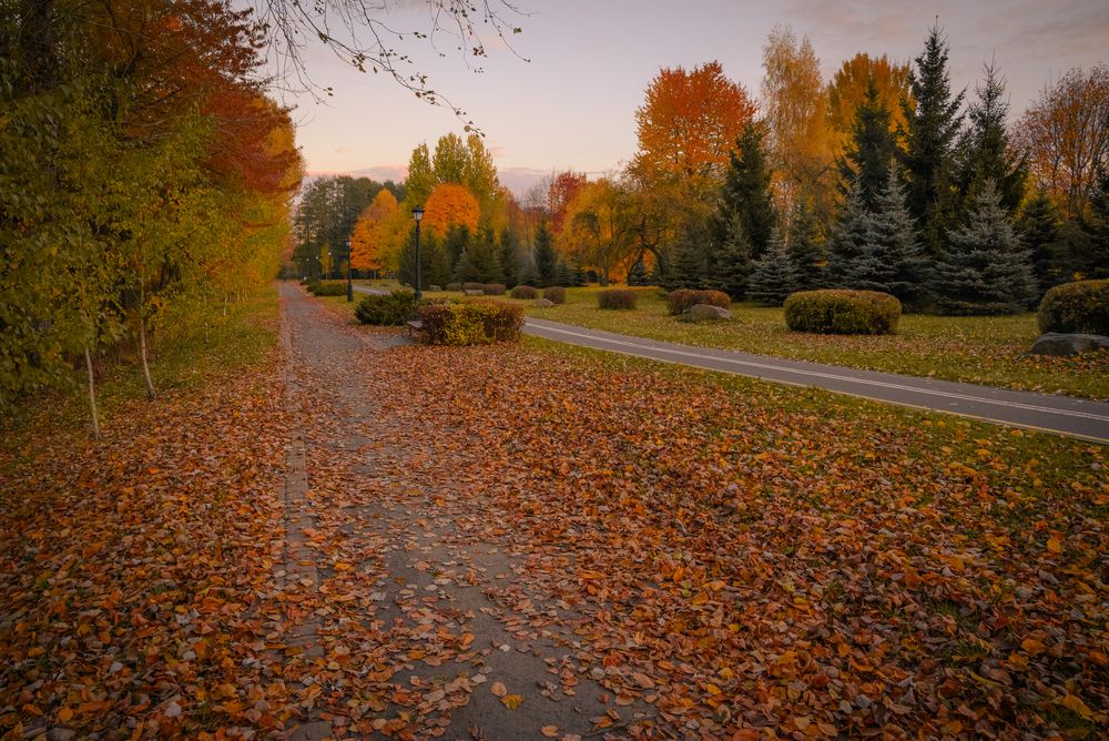 Photograph by Дарья Кончакова