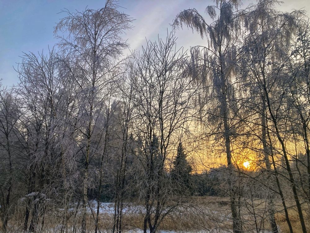 Photograph by Светлана Парамонова