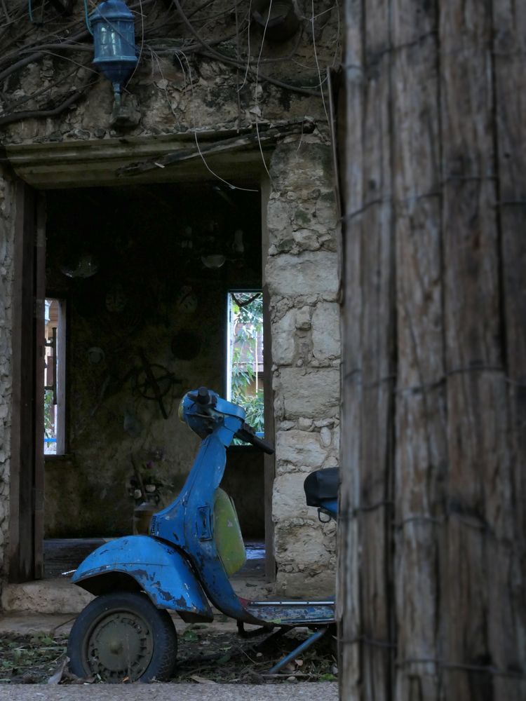 Photograph by Галина Горлицки