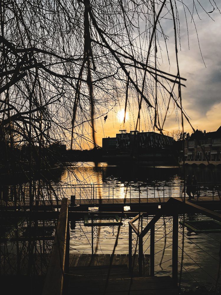 Фотография автора Елизавета Станкевич