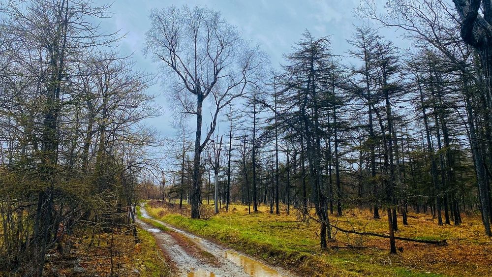 Photograph by Анна Дудко