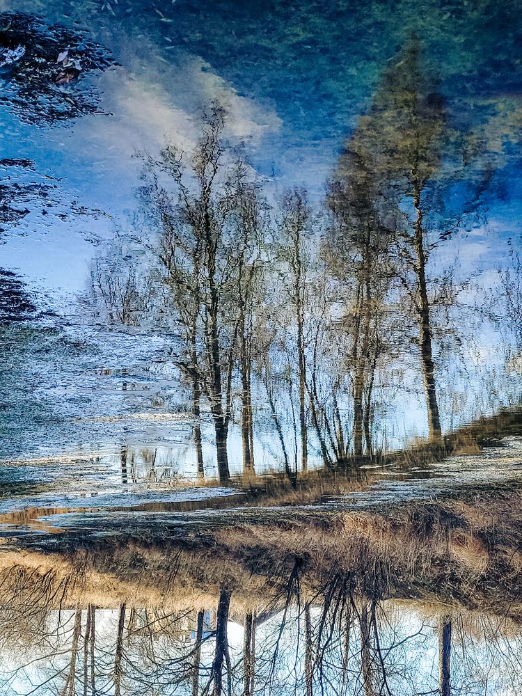 Поздняя осень...