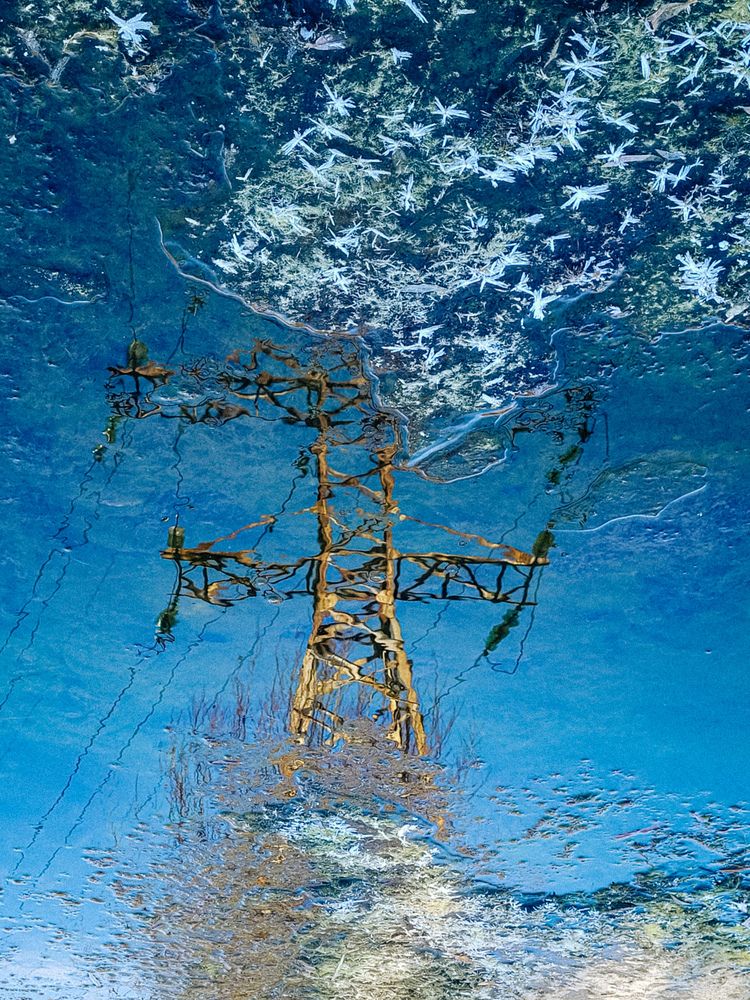 Осень, первые заморозки...