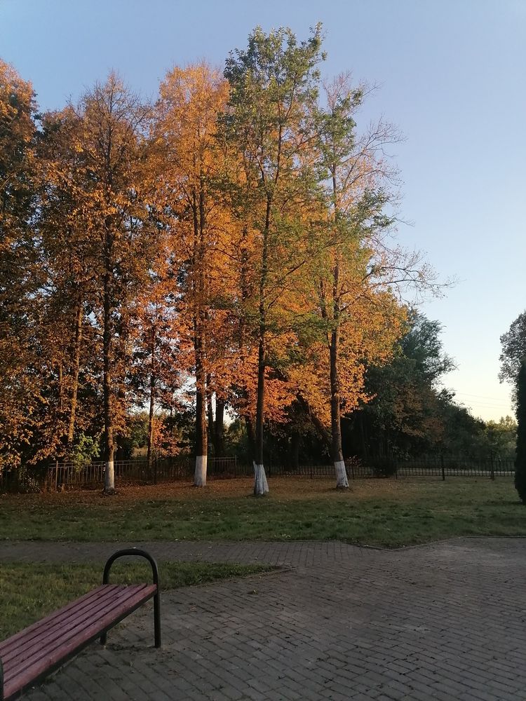Photograph by Маргарита