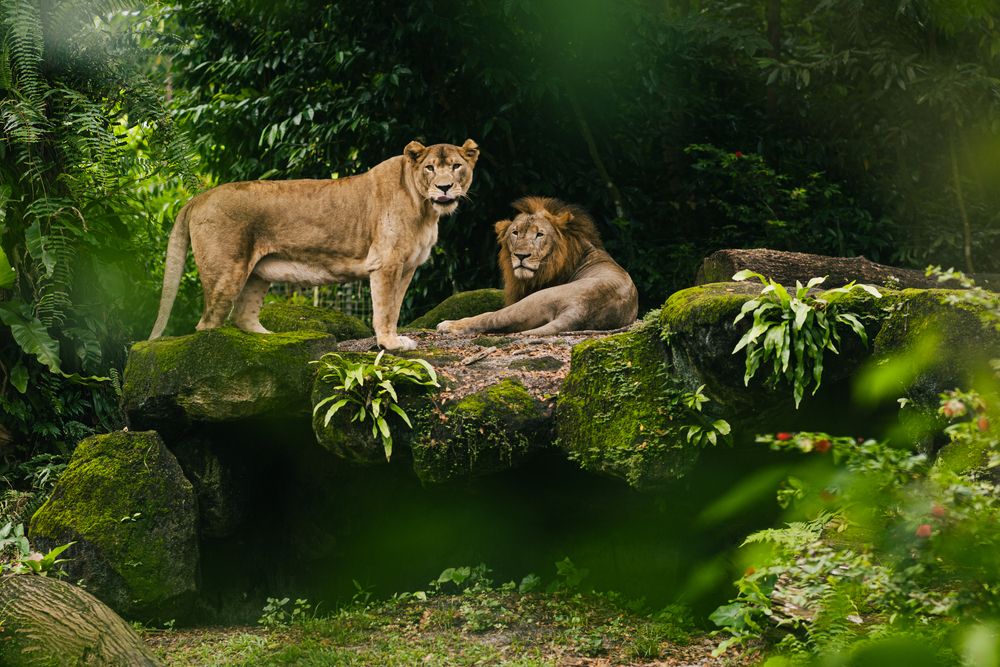 Photograph by Reiben Denaga