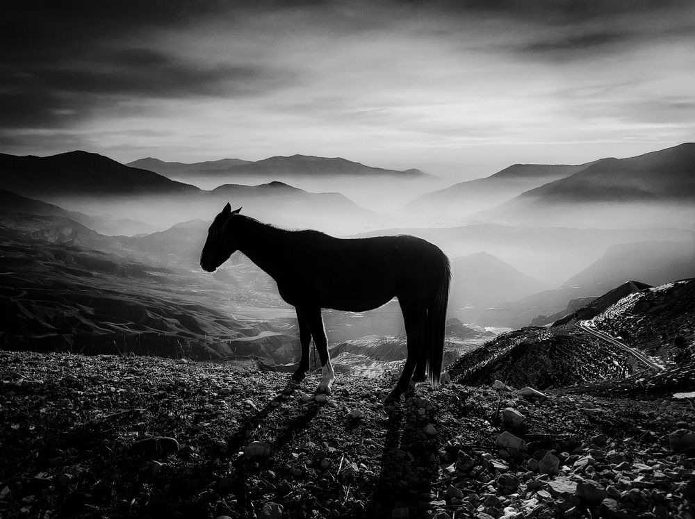 Фотография автора Андрей Пучков