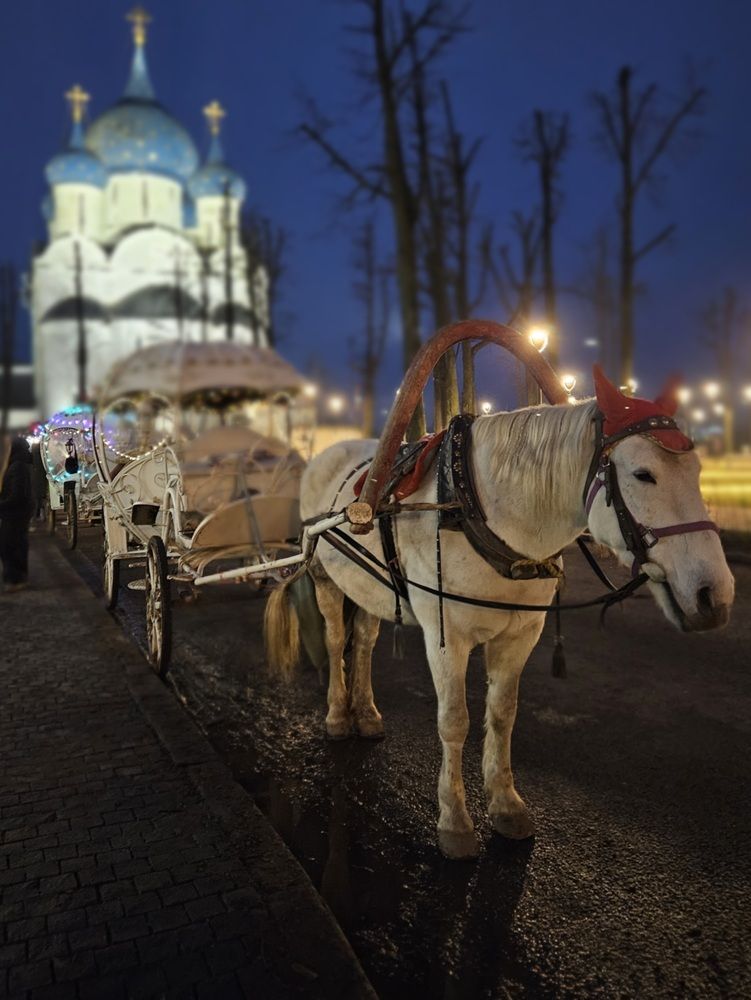 Предрождественский вечер